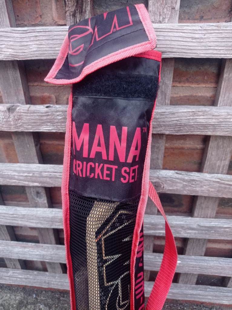Kids cricket set