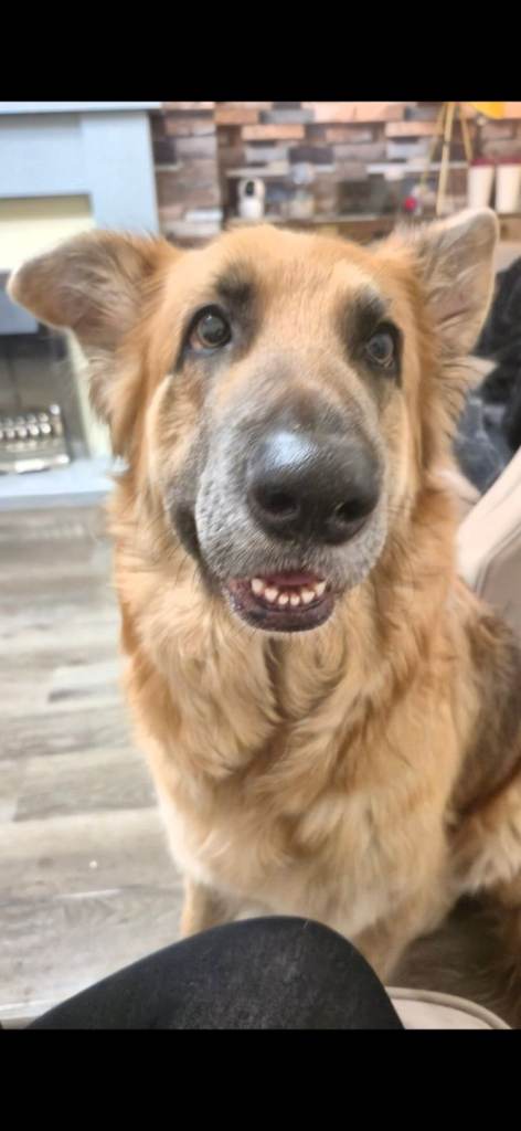 Experienced, Patient 5* Home