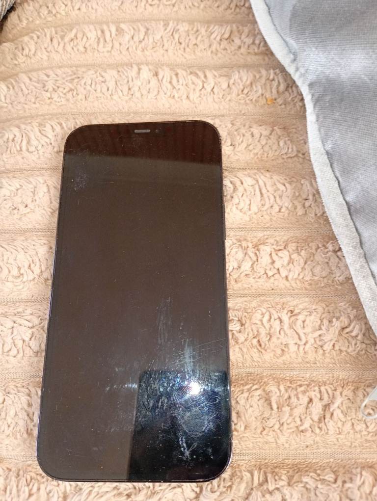 iPhone 12 pro max