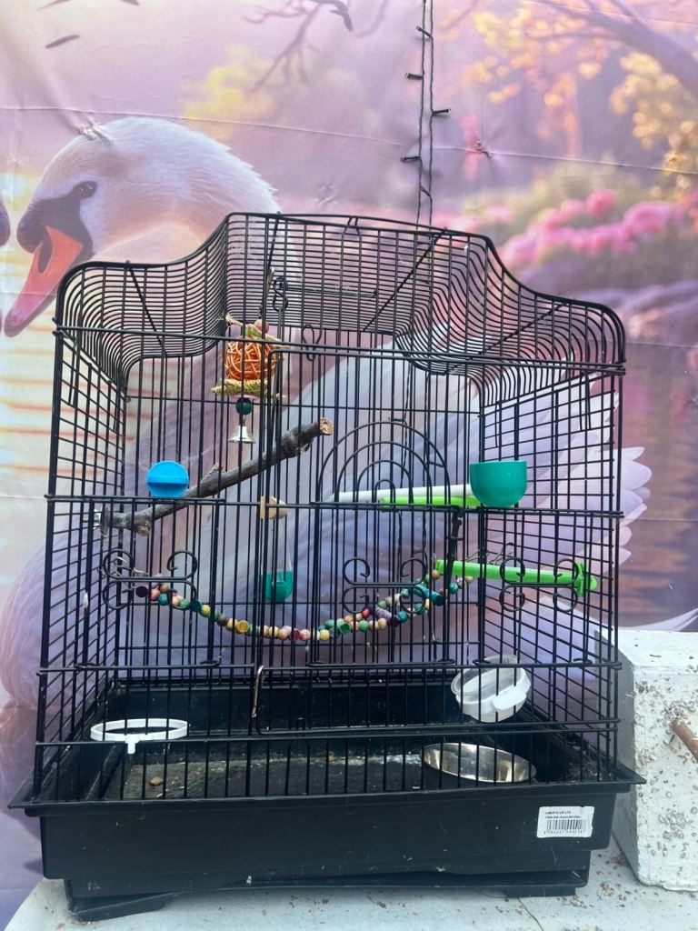 Small bird cage