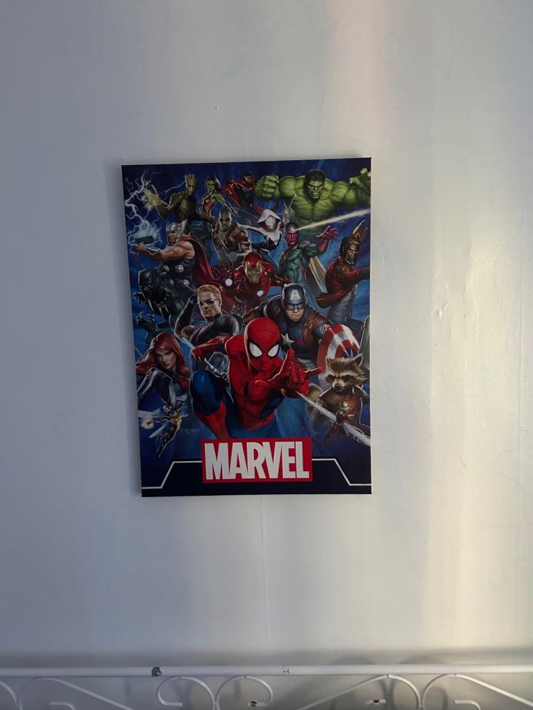 Marvel and ninja turtle bedding, curtains and picture