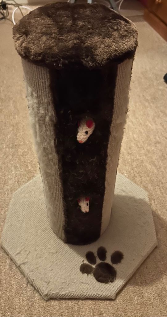 Cat scratching post 