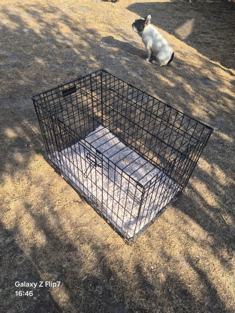Medium dog crate