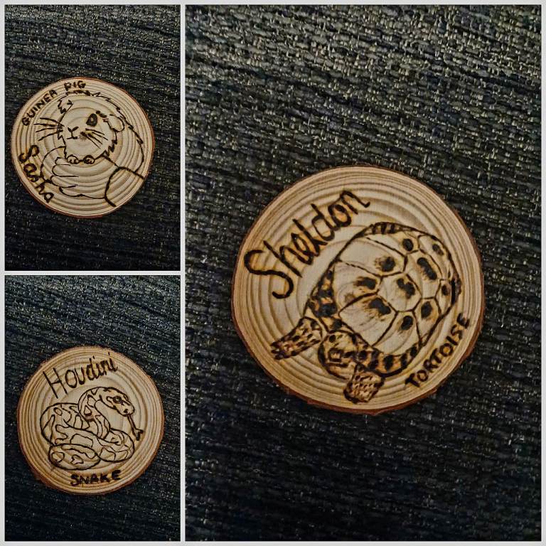 Custom pet magnets - from horse's to tortoises