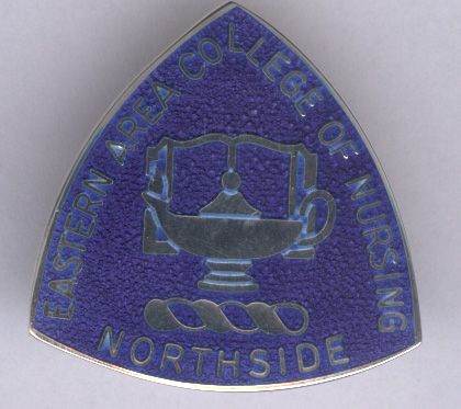 Eastern Area College of Nursing - Northside silver nursing badge For sale