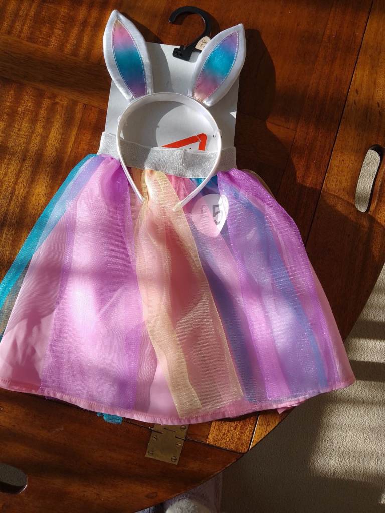Bunny Dressing Up outfit. Skirt and bunny ears 