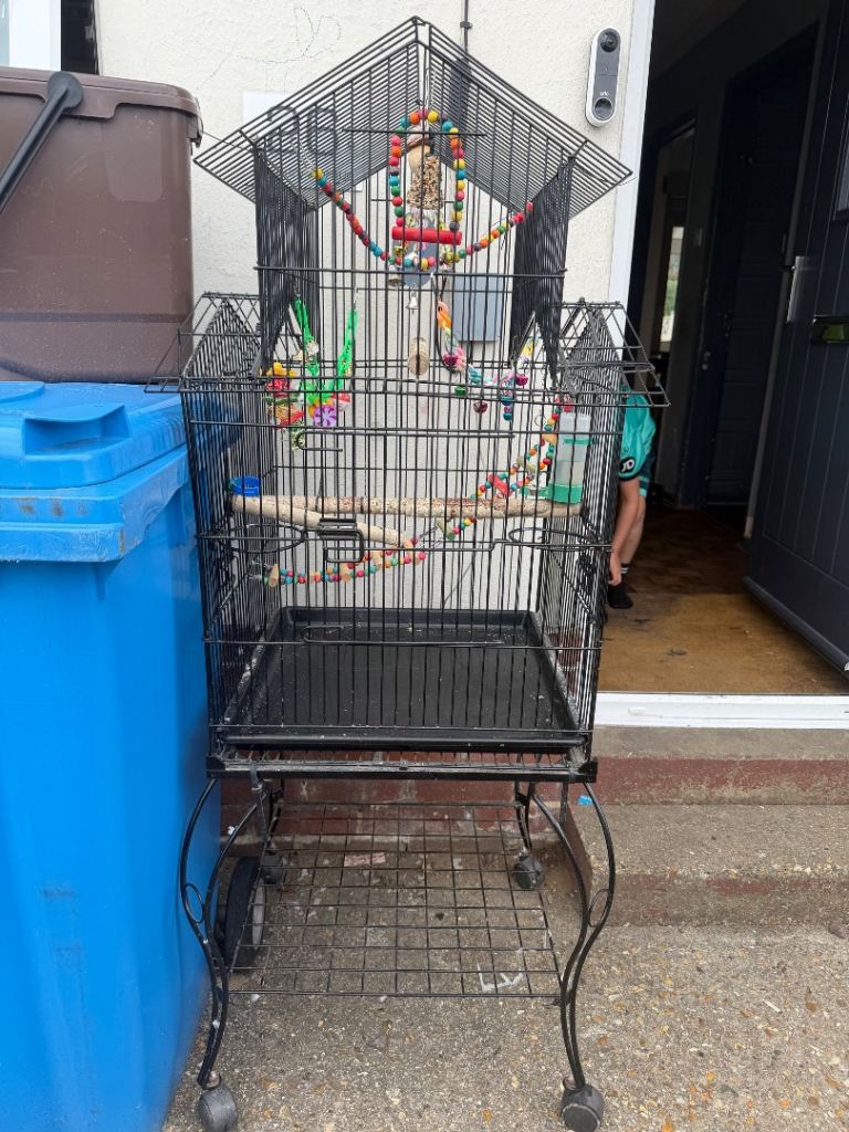 Large Bird Cage with Accessories and 2 boxes of Trill bird food 