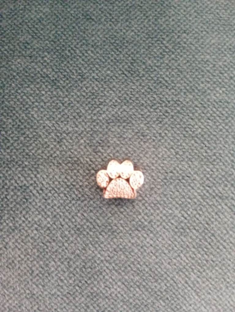 Reduced Genuine Pandora  Dog Pawcharm