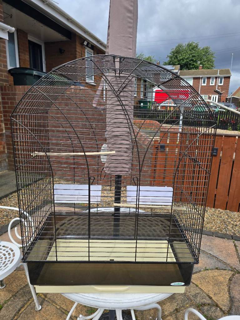Bird cage 