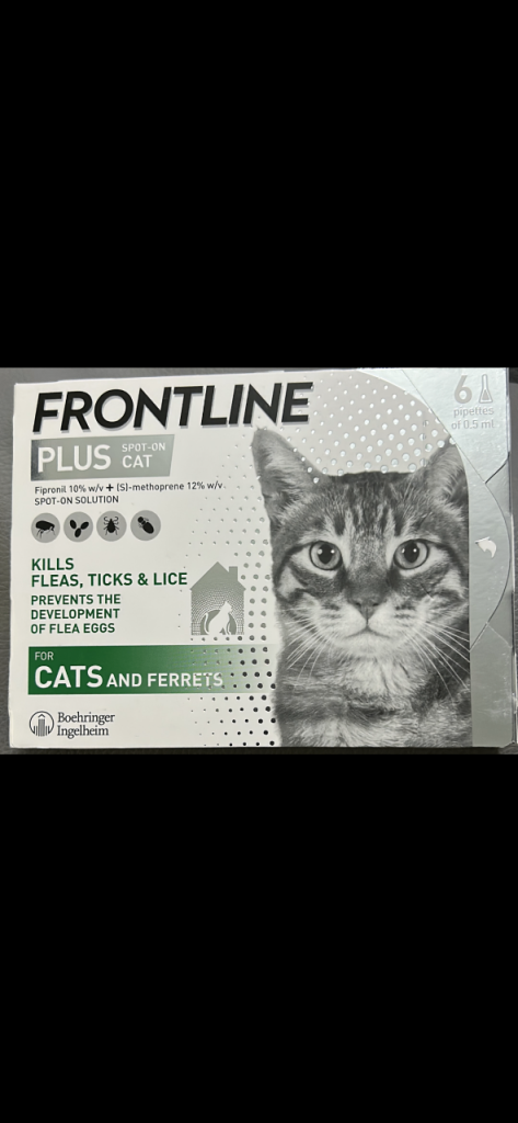 Cat tick fleas treatment 
