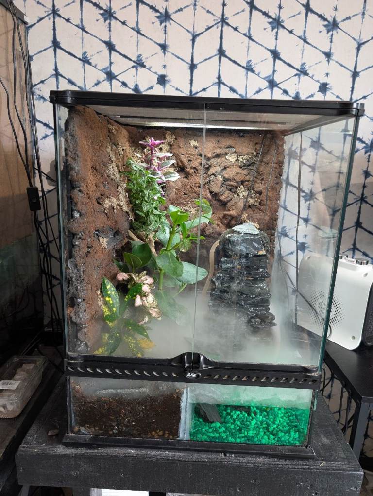 Exo terra 45x45x60 custom made glass paludarium with uvb lighting 