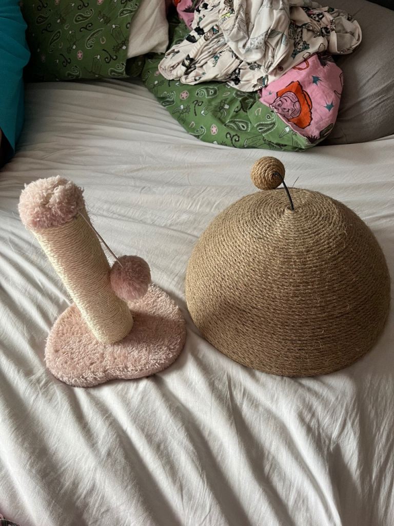 Cat scratch posts