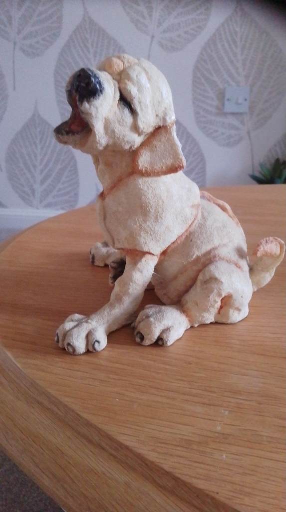 Cute Breed Apart Labrador Puppy "Shortcake "