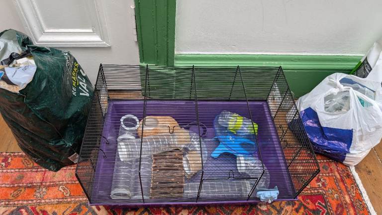 Hamster cage and accessories 