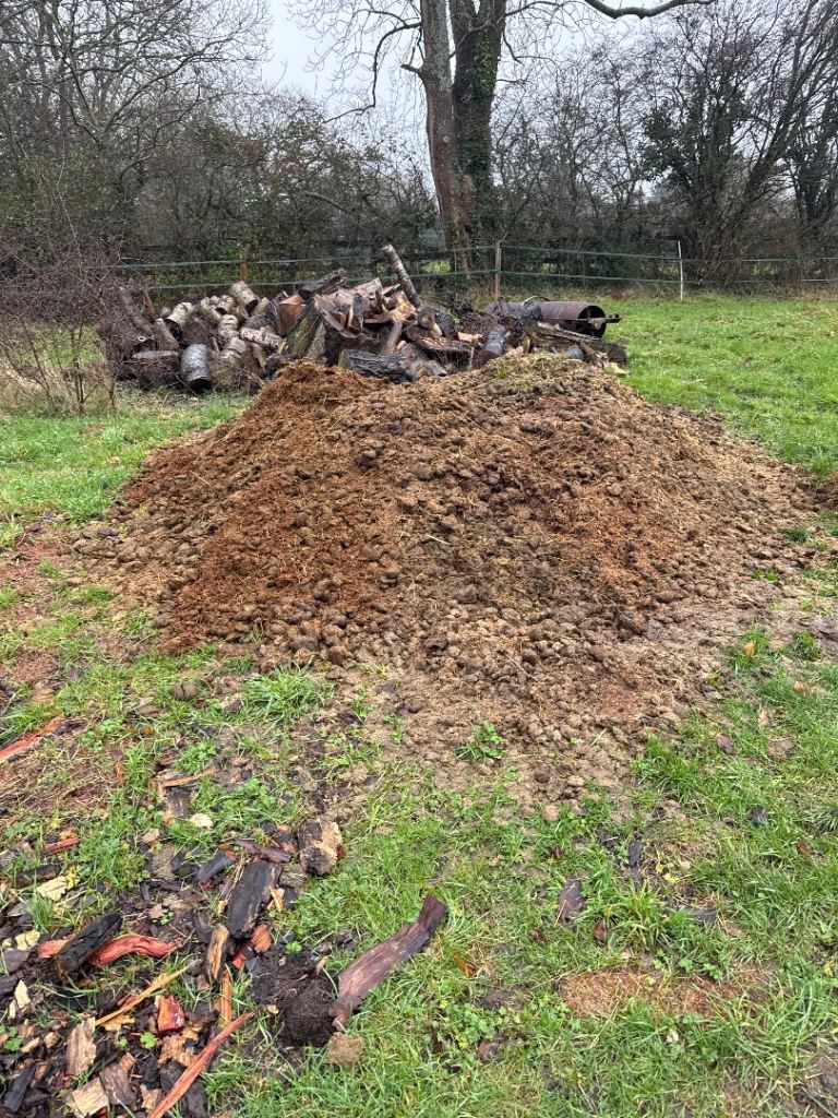 Free organic horse manure 