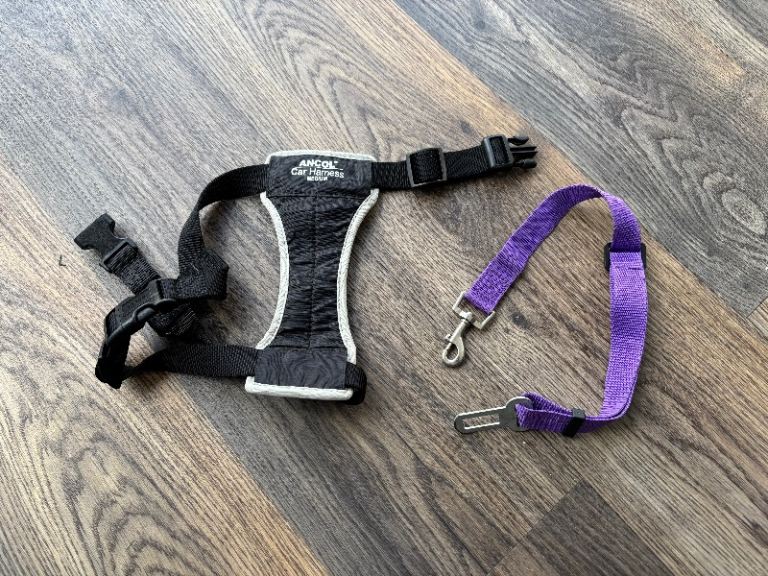 Dog Car Harness + Seatbelt Latch - FREE