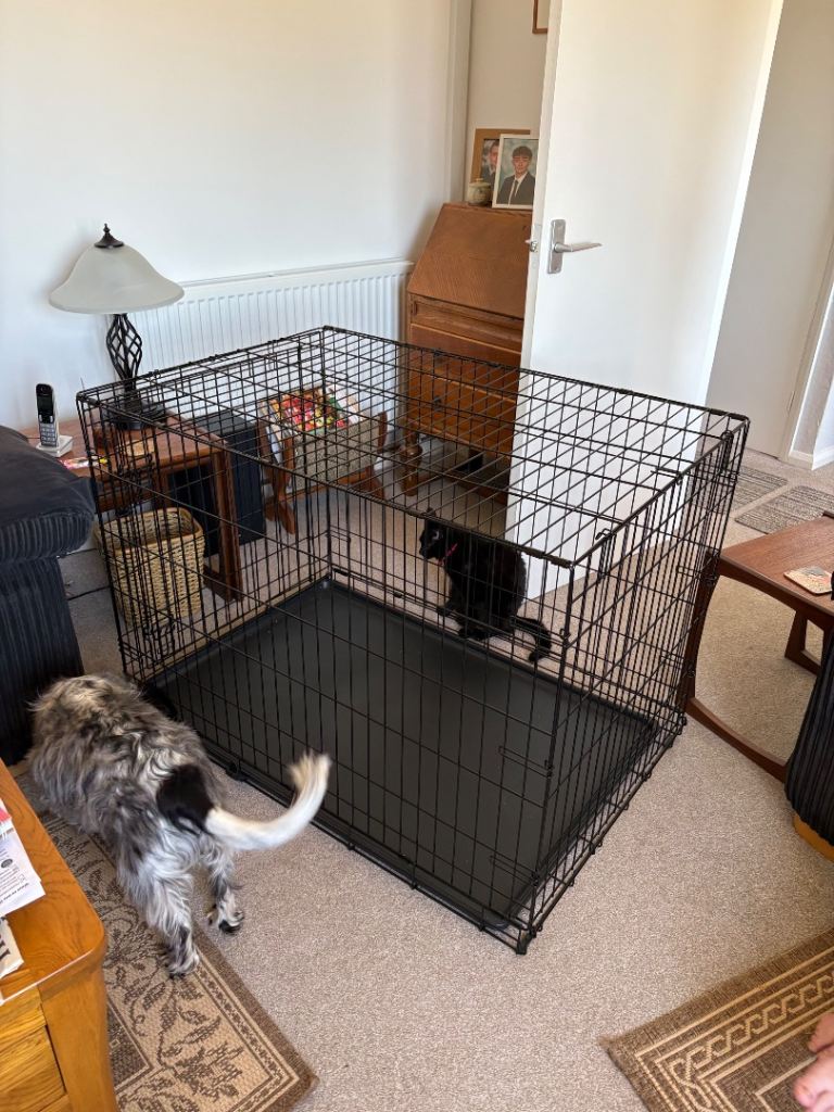 Foldable dog/cat crate good condition 