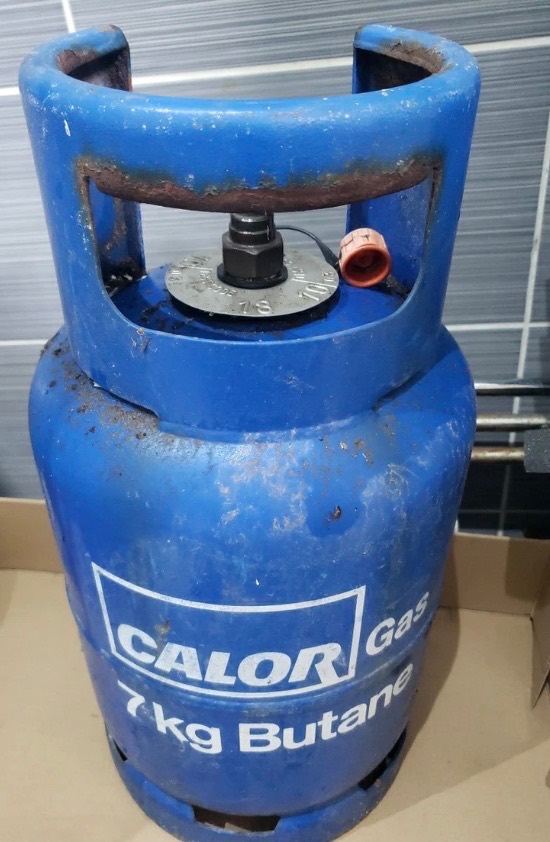 Turkish Van X Ragdoll adult female cat