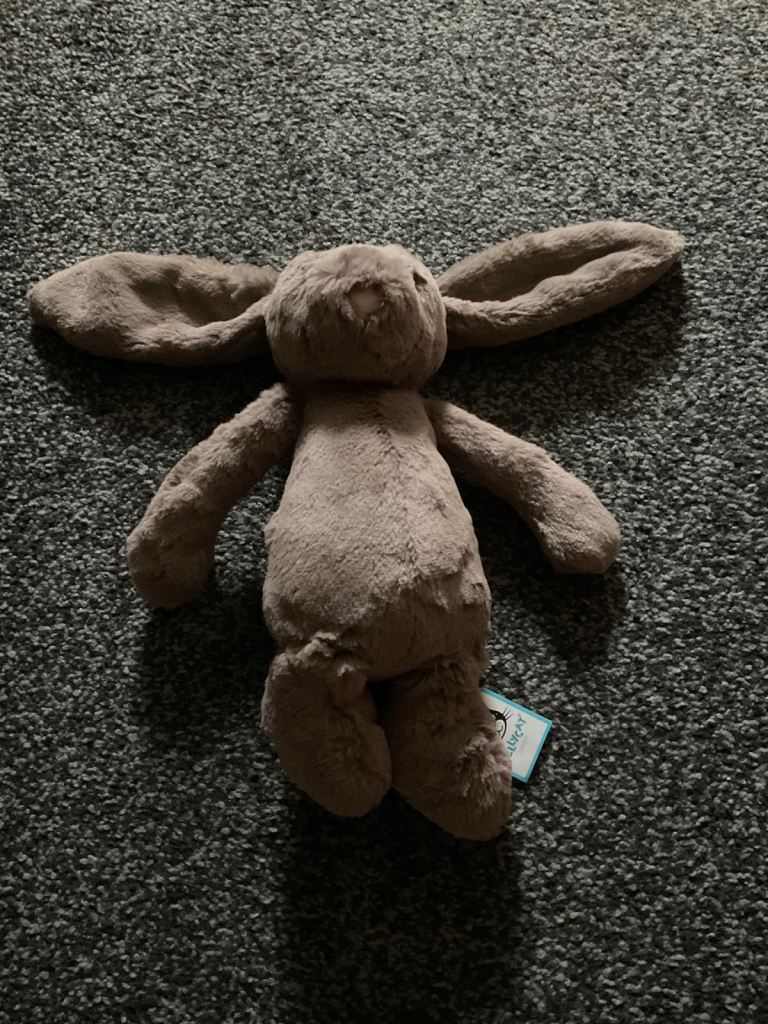 image for Retired jelly cat medium bashful truffle bunny