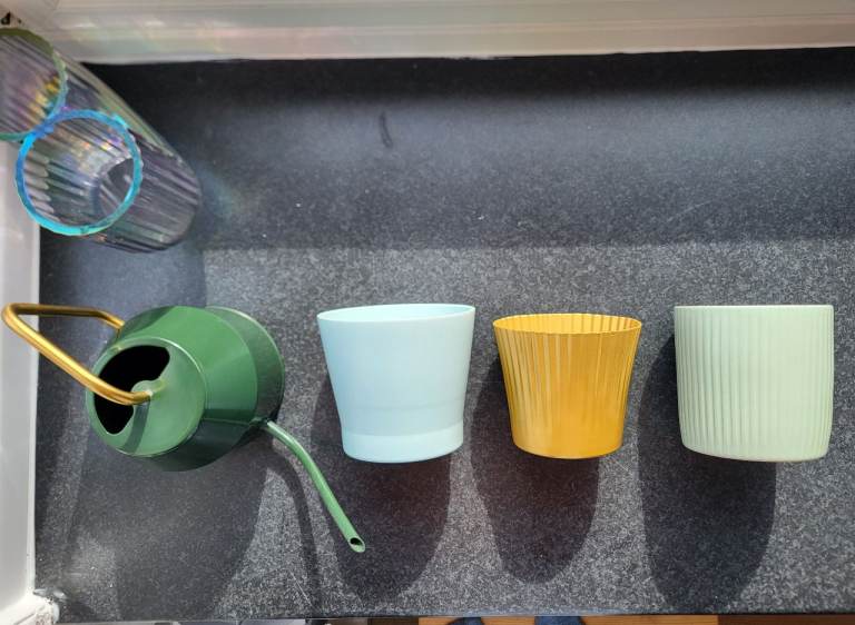 Assorted plant pots