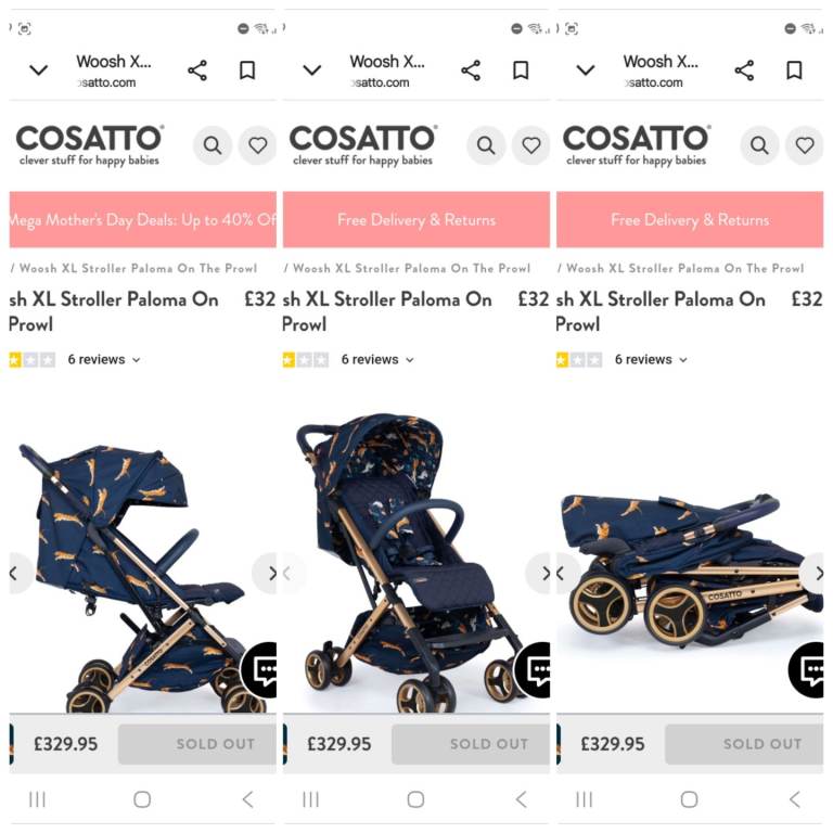 Paloma faith cossato 