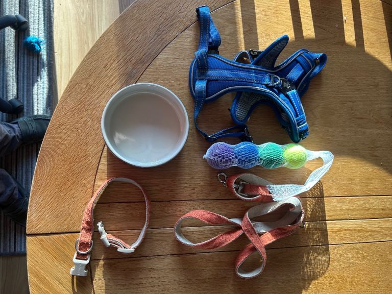 Puppy items, harness, bowl, lead
