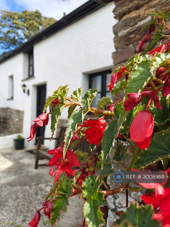 2 bedroom house in Barn Cottage, Looe, PL13 (2 bed) (#3008988)