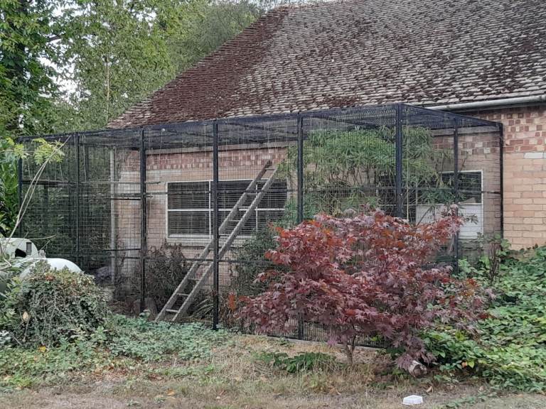 Large Catios/Avairies/Kennels lockable and seperate door panels for sale