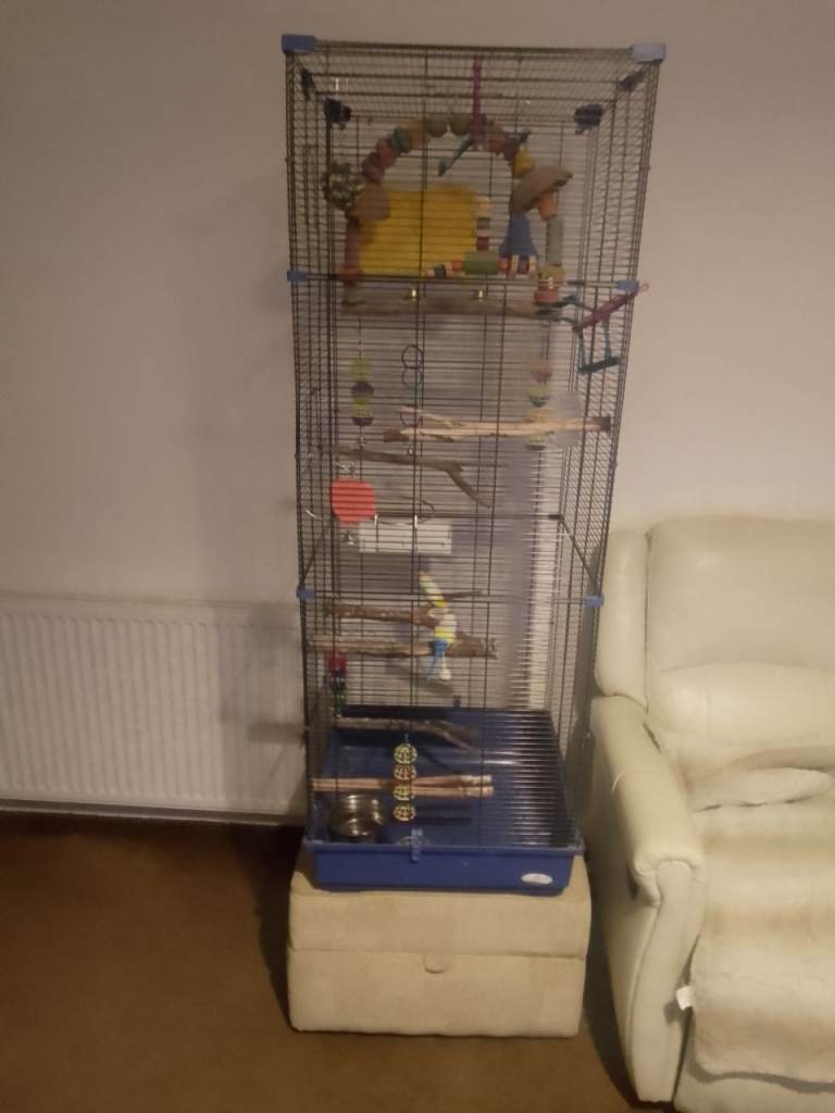 Large parrot cage 