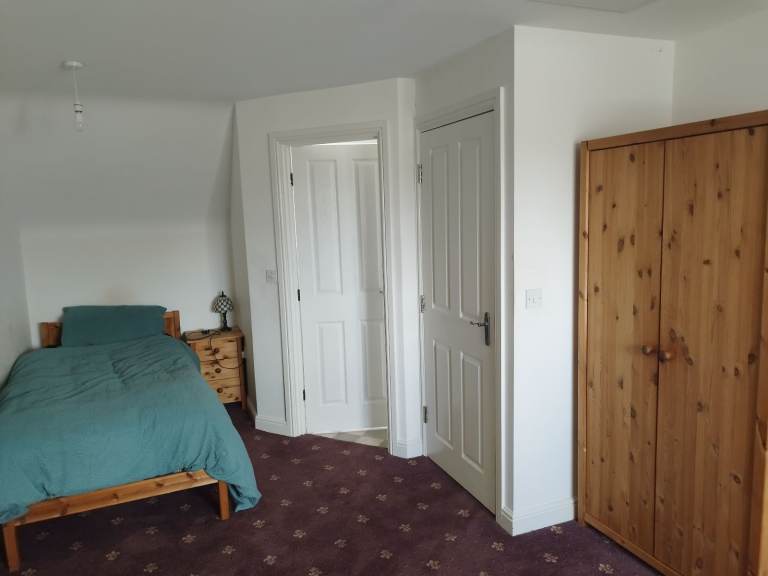 Large en-suite room to rent 