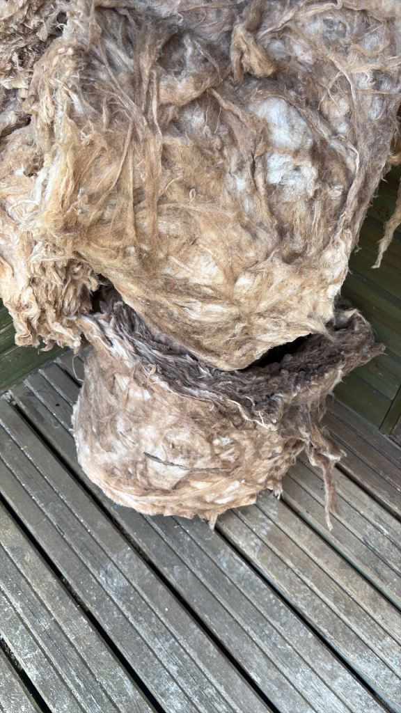 Free insulation 