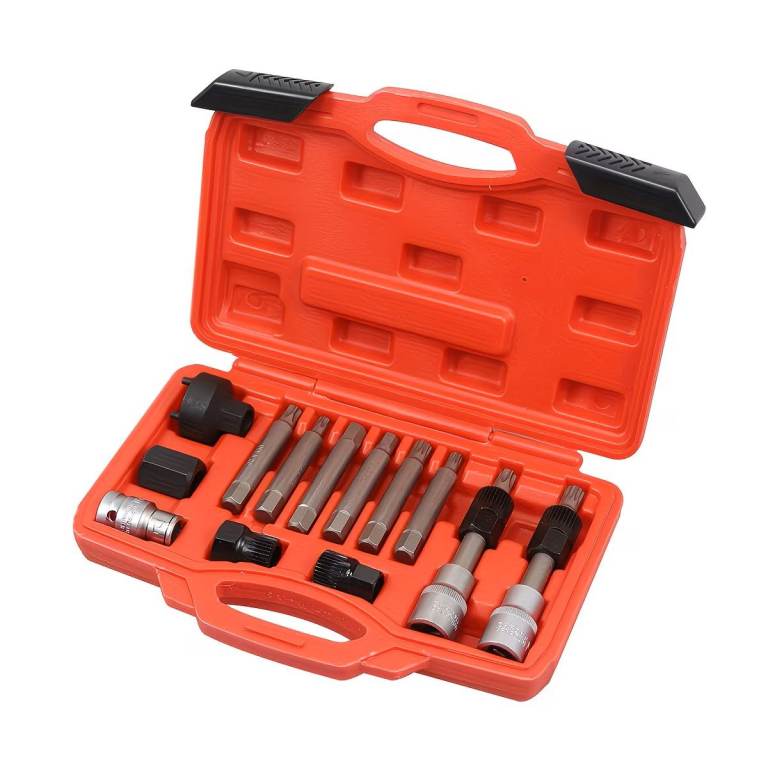 Alternator Free Wheel Pulley Removal Kit – 13 Piece