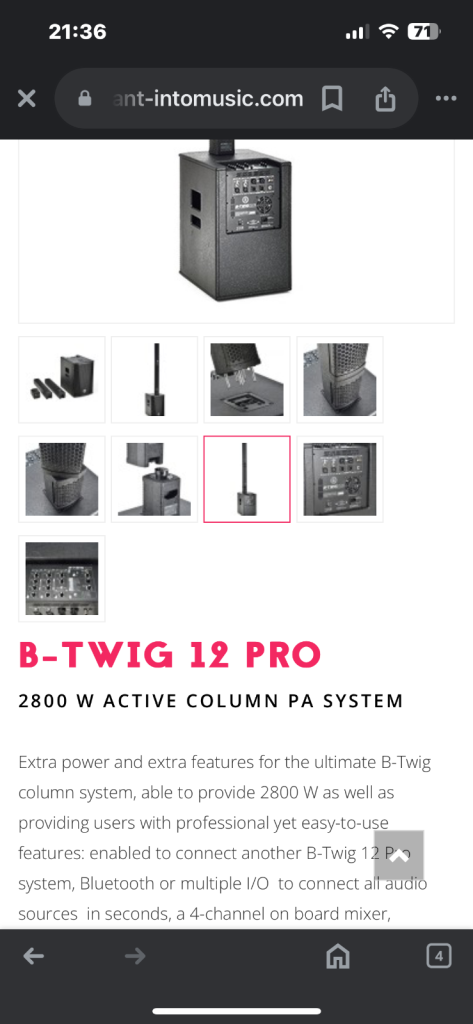B-Twig 12 pro column speakers