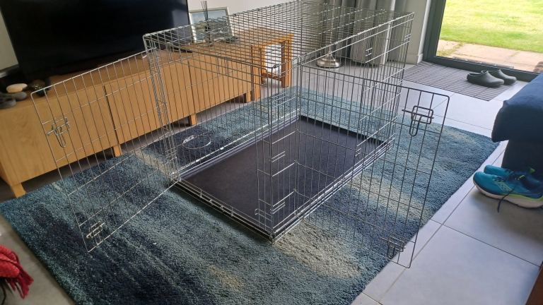 XXL dog crate 
