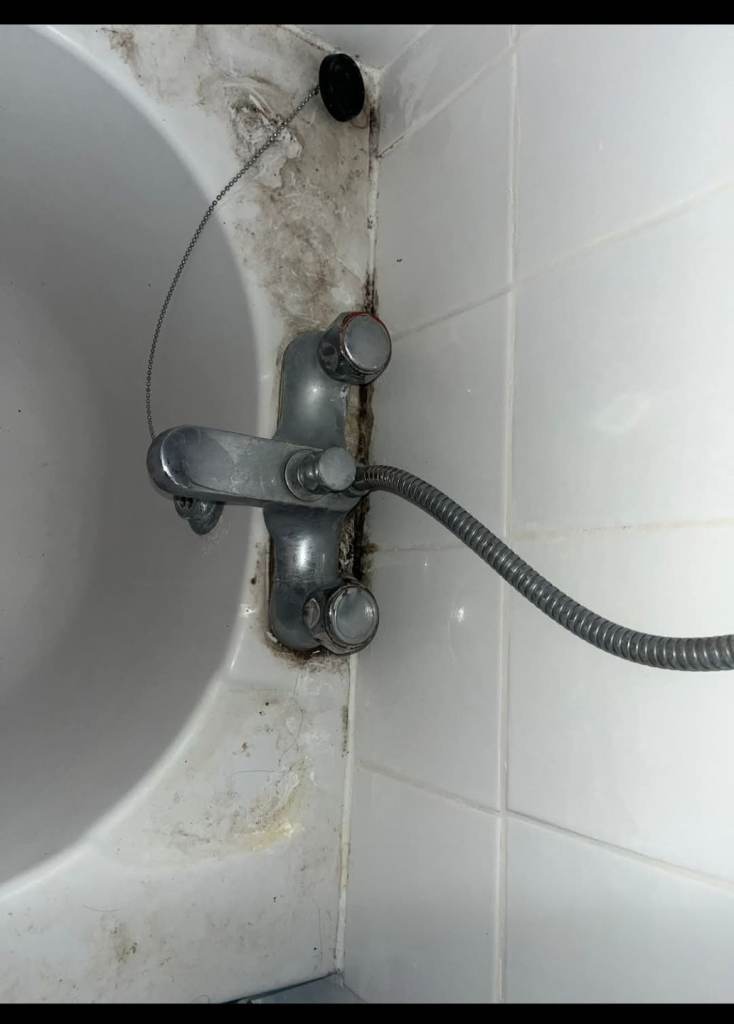 Ty&Ty cleaning services 