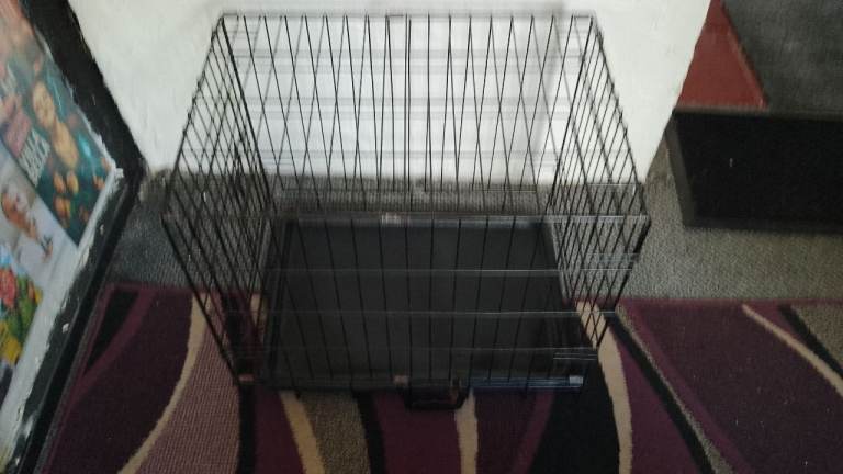 small dog grate