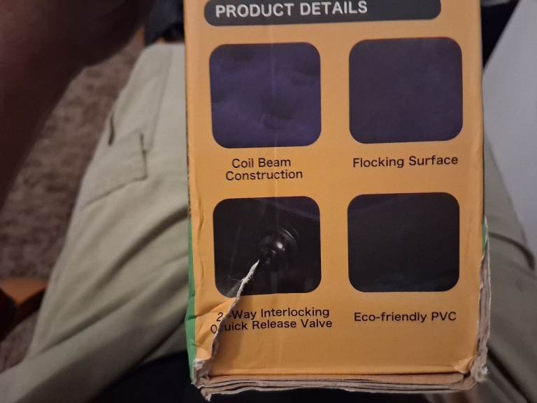 Inflatable flocked bed