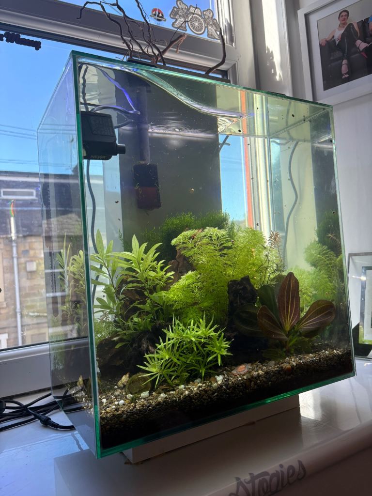 Fluvel Edge 46l fish tank 