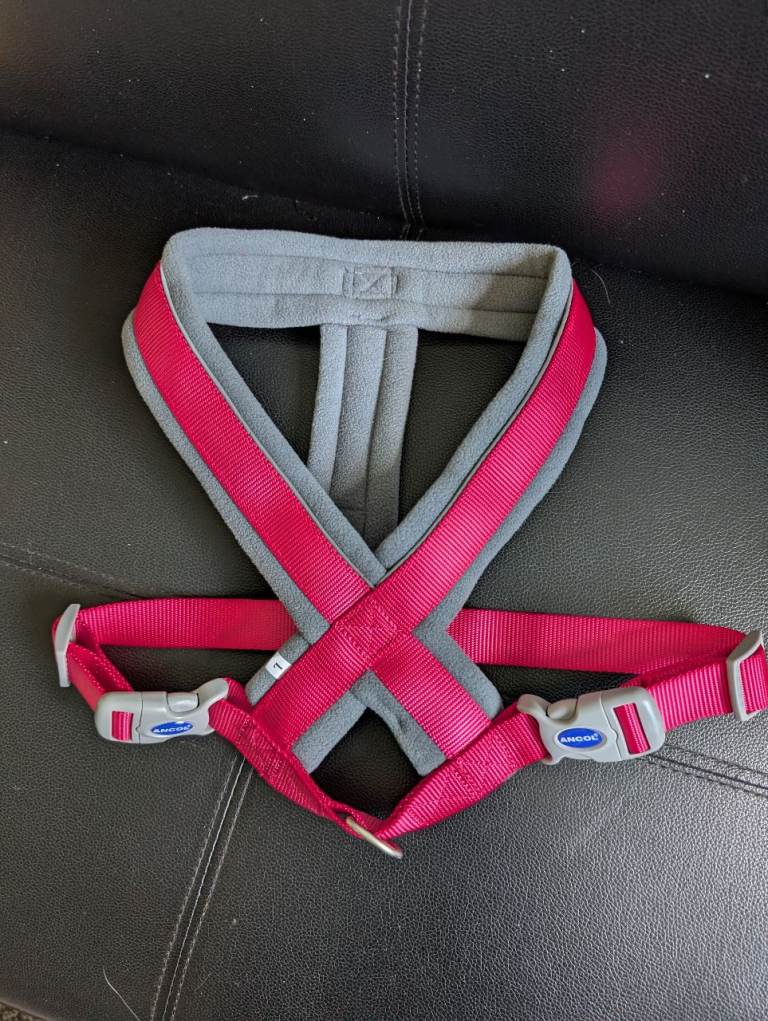 Large dog harness 