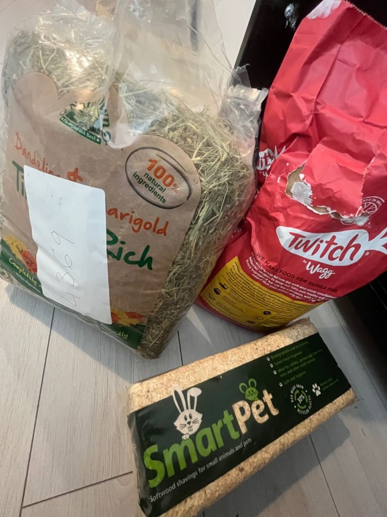 Free Guinea pig wood shaving food and hay free 