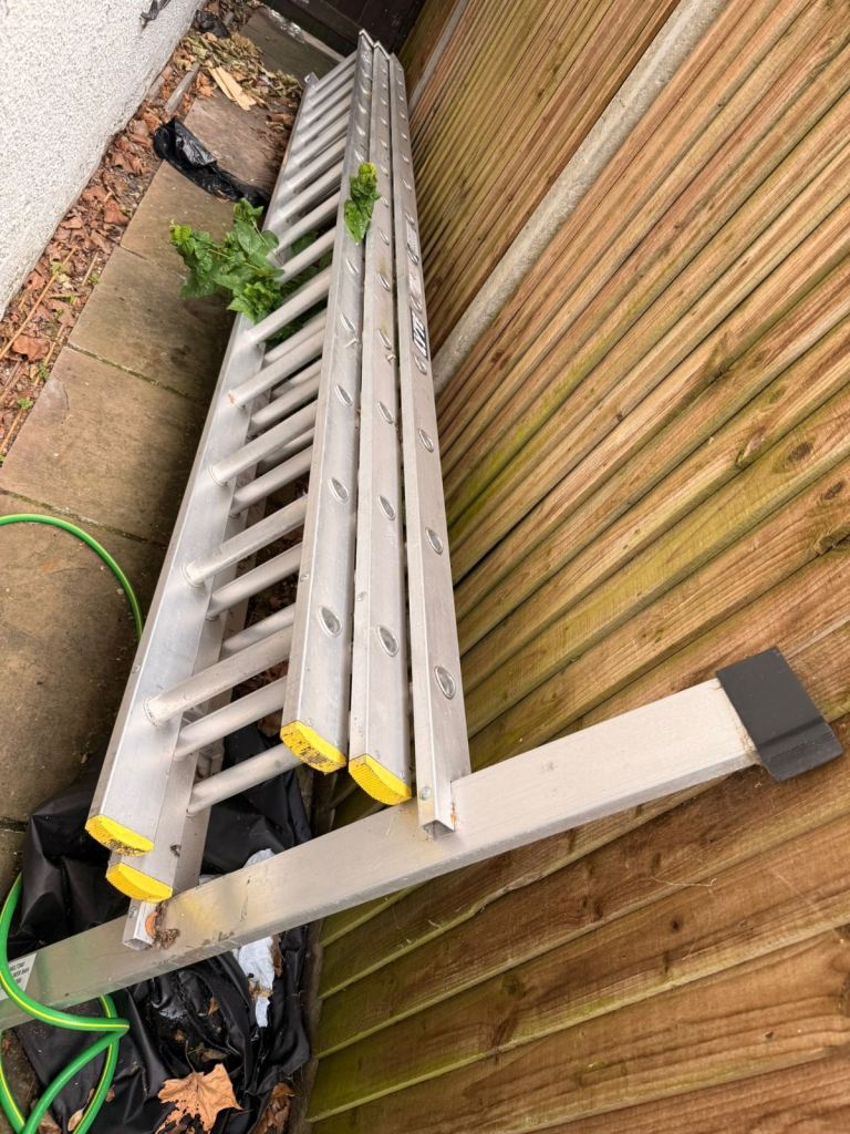 12 metre ladder 