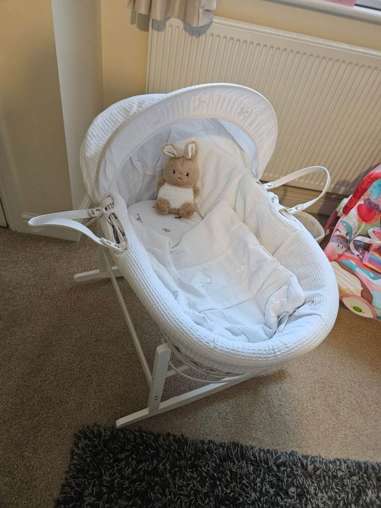 image for Moses basket