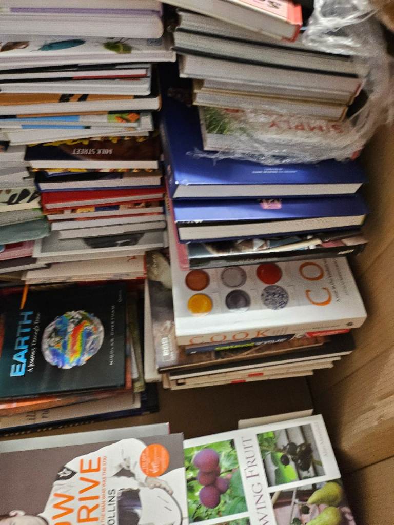 Pallet of brand new books.