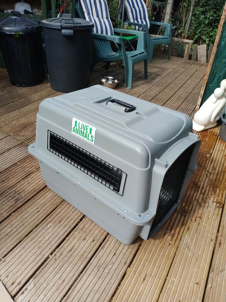 Pet cargo carrier 