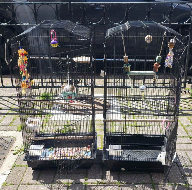 Parakeet cage for sale