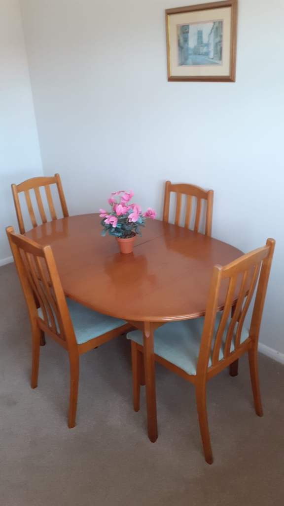 Oval Wooden Dining Table with 4 Matching Chairs