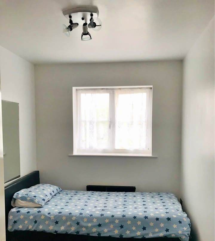 Single Room Rent
