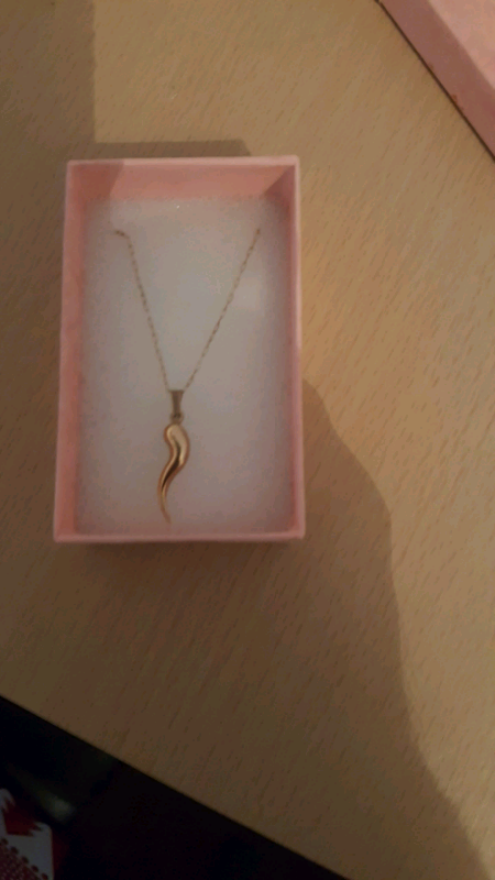 9ct gold horn of life 16.5 inch chain vgc