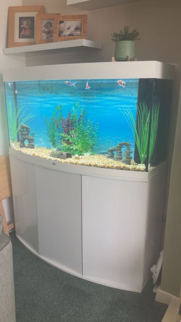 Extra Large Fish Tank With Cabnets Underneath