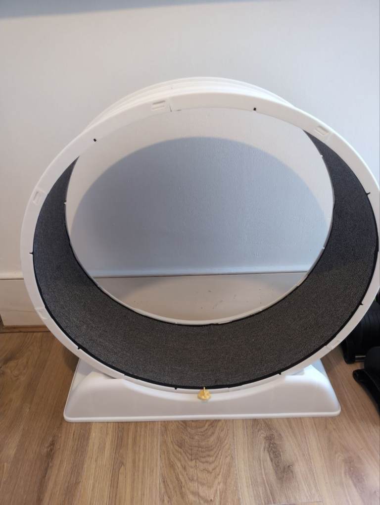 Used - Excellent Condition | 30 inch Cat Wheel /Treadmill Wheel with Brake and Carpeted Runway